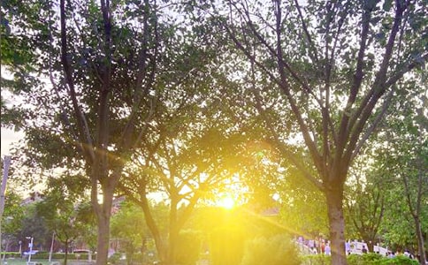 ͨ�����õ��簲����Ȧף���Z���\51��