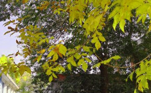 簡(jiǎn)短的美好的早安朋友圈祝福語(yǔ)22句
