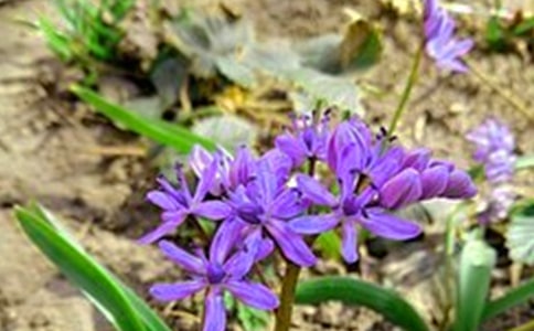 ��(ji��n)�̵����õ��簲����Ȧף���Z(y��)�R��30�l