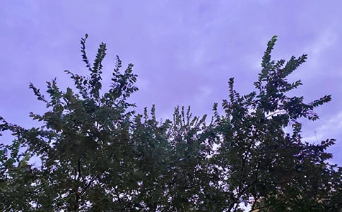 �����A�����õ��簲����Ȧף���Z35��