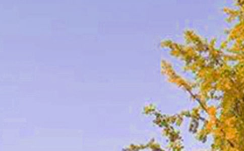 ��(ji��n)�̵����õ��簲����Ȧף���Z(y��)���\60�l