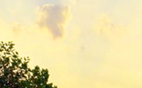 Ψ���簲�İ���ȫ65�侫�x