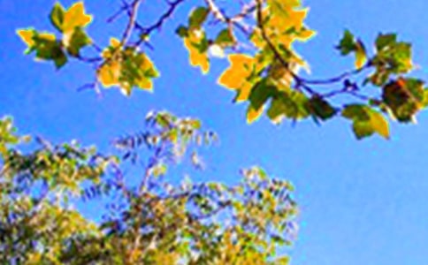 2023�곣�����õ��簲����Ȧף���Z(y��)43�l