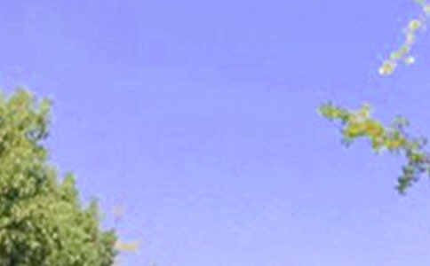 ��������Ȧ�簲ף���Z65�侫�x