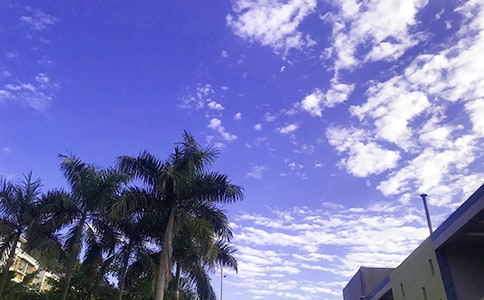 常見唯美早安文案(通用45句)