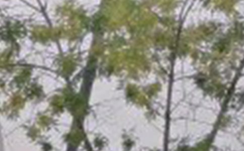 簡(jiǎn)短暖心早安寄語(yǔ)大全150句精選
