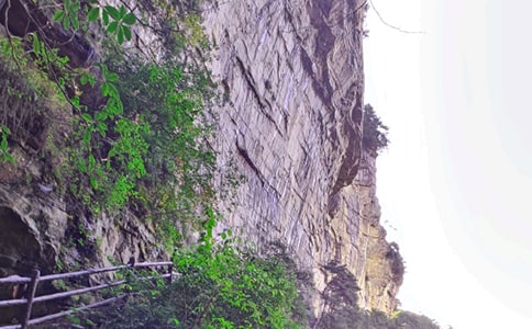 �����ď��ҽ����ă�(y��u)�x[15ƪ]
