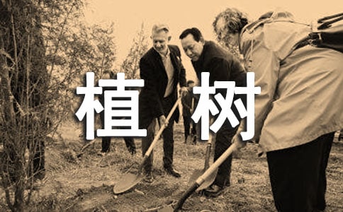 ֲ�俴�D��Ԓ14ƪ�����x��