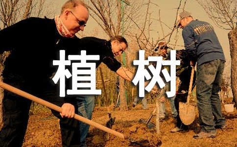 看圖寫話:植樹