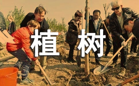 植樹文案干凈