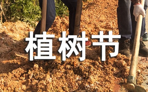 2022年植樹(shù)節(jié)唯美文案(精選60句)