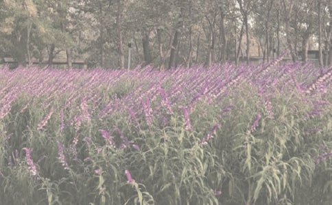 ٝ��ֲ��@�ă�(y��u)������