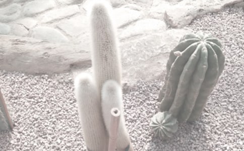 ֲ��@ӛ����ӛ����