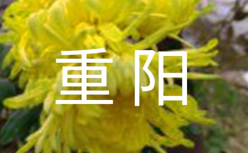 �P(gu��n)����ꖵ�Ԋ��15ƪ