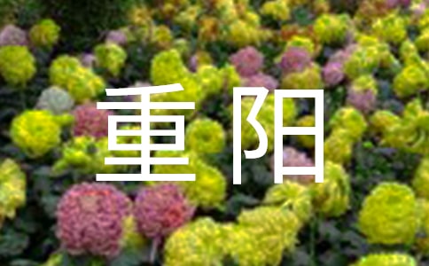 ���(y��ng)Ԋ(sh��)�䣨���x195�䣩