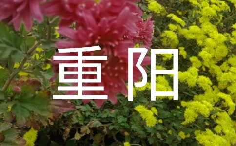 �P(gu��n)�����(y��ng)��Ԋ(sh��)�伯��15ƪ