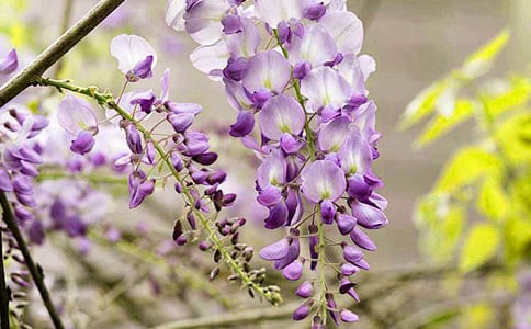 С�����g��ָ���̰������ٻ�