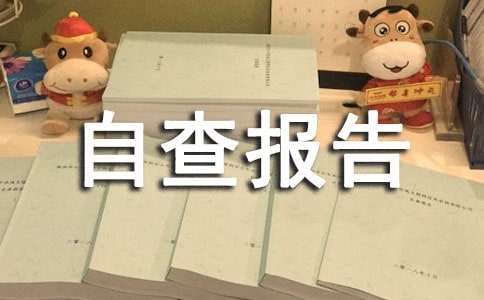 個(gè)人履職盡責(zé)自查報(bào)告