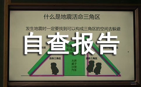 平安建設(shè)工作自查報(bào)告范文(精選6篇)