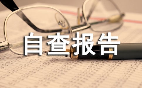社會治安綜合治理工作自查報告范文