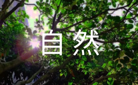 人與自然的和諧作文