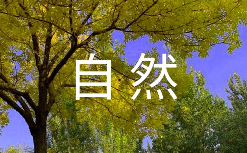 �茑����Ȼ�ĺö�ժ��