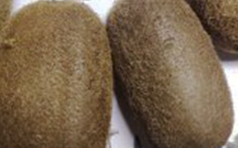 獼猴桃病蟲(chóng)害防治技術(shù)