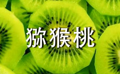 ���]���J���ҵĄ�(chu��ng)������