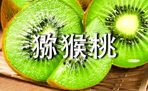 紅心獼猴桃的種植技術(shù)