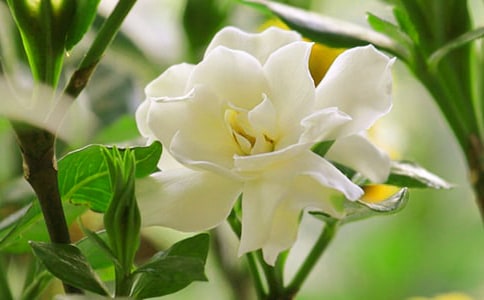 �茑��������ėd�ӻ��ă�(y��u)���İ�130��
