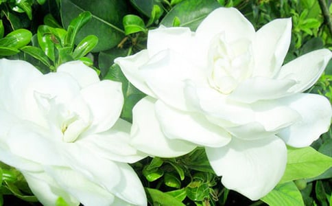 �d�ӻ��_����15ƪ[�؂�]