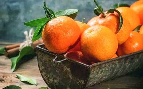 �P�����ӵ�����[����14ƪ]