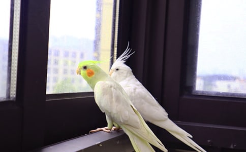 �Ҽҵ��W�^����[��(y��u)�x15ƪ]
