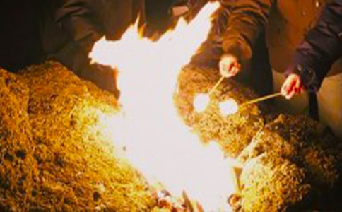 篝火晚會(huì)作文(精選42篇)