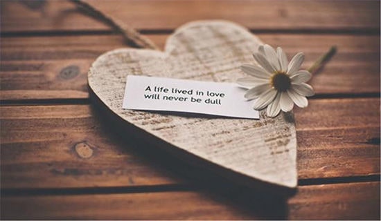 �P(gu��n)�ڐ���������S�P�����x19ƪ��