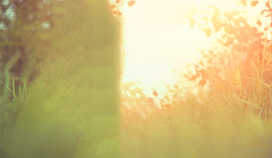 安靜的句子唯美文藝