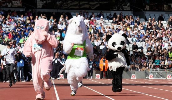 秋季運(yùn)動會隨筆作文(通用24篇)